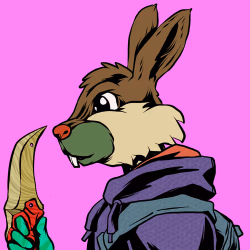 Shinobibunnydawn