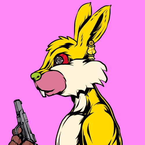 Shinobibunnydawn