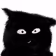 2824