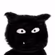 684