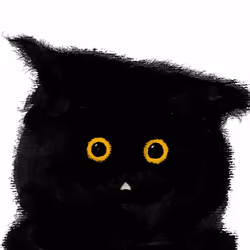 Lovecatz #2428