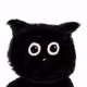723