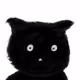 1029