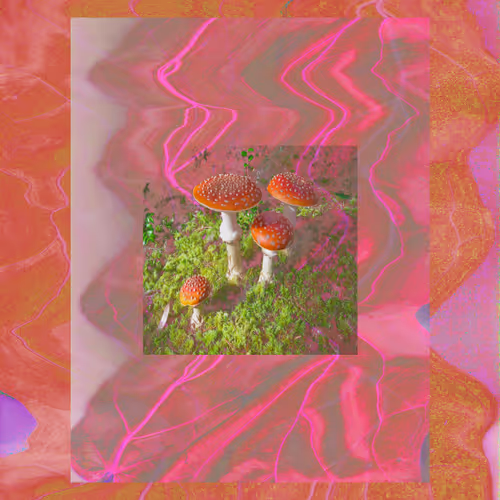 amanitas & the sublime