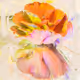 exquisite rot