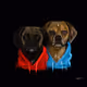 LUNA AND WINSTON 
