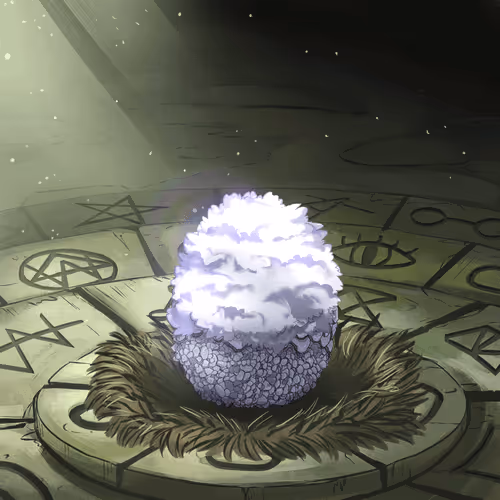 Thewonderquest