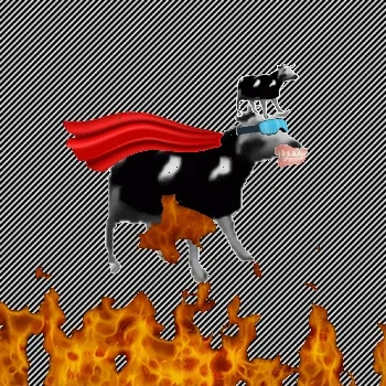 Cancerous Cow #1570