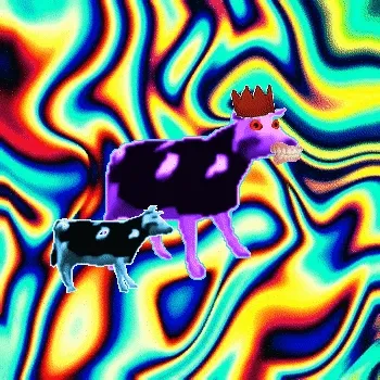 Cancerous Cow #1551