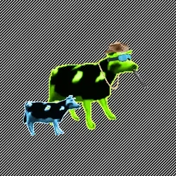 Cancerous Cow #1745