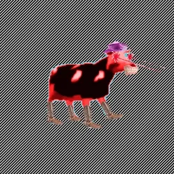 Cancerous Cow #379