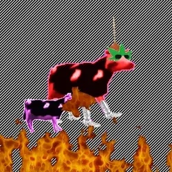 Cancerous Cow #843