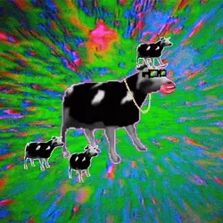 Cancerous Cow #2018