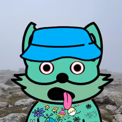 The HENLess Fox #2250