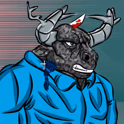 BULL557