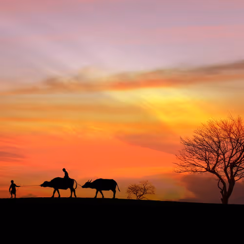 Vietnam Landscape V2