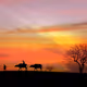 Vietnam Landscape V2