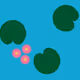 Water Lilies