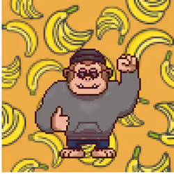 Ape #597