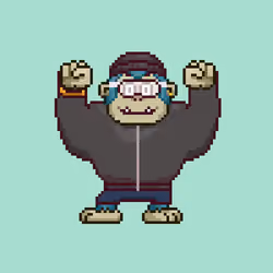 Ape #937