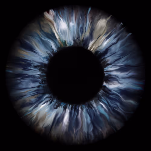 The Black Hole 3