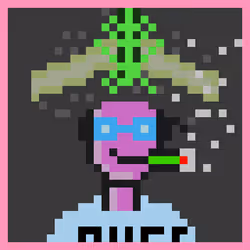 Zoinked Punks #3575
