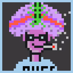 Zoinked Punks #457