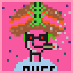 Zoinked Punks #1337