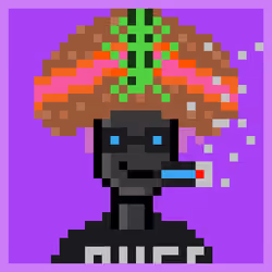 Zoinked Punks #2996