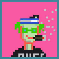 Zoinked Punks #1893