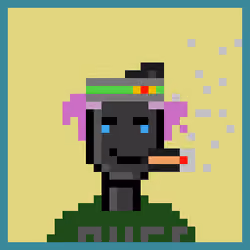 Zoinked Punks #1137