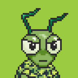 Cryptomantis #159