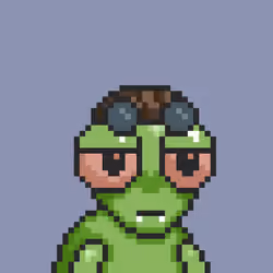 Cryptomantis #518