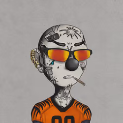 Notorious Fool #2862