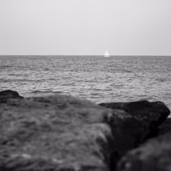 Matter's Movement (B&W) 2nd Edition # 10/10