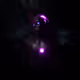 2039