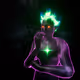 566