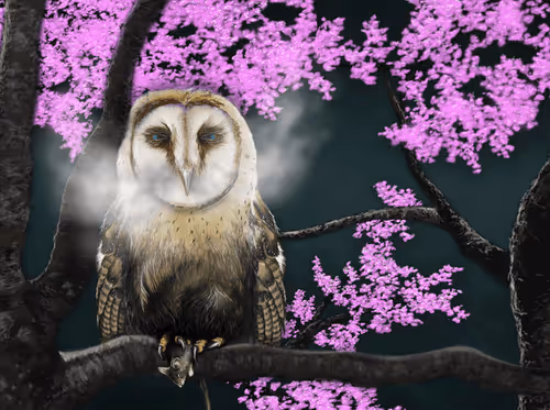 Hooties