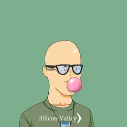 Silicon Degen #795