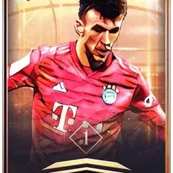 Ivan Perisic