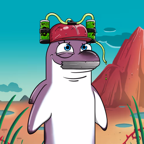 Angry Dolphins Sea Genesis