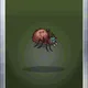 Spider #470