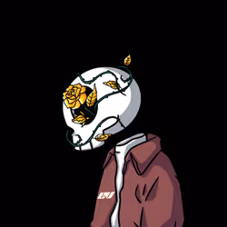 5578