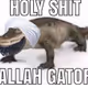 Holy Shit Allah Gator