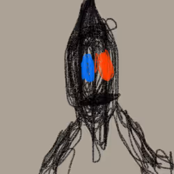 51