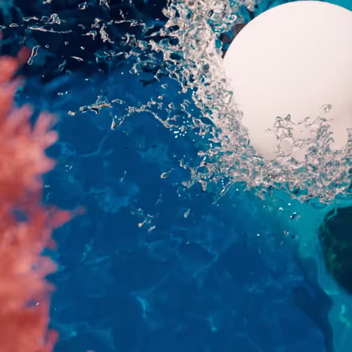 The Splash #12/20