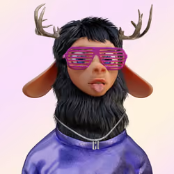Lady Llama #0456