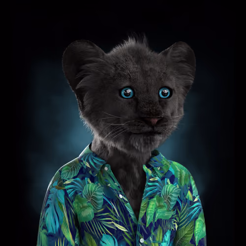 Royal Cub #289