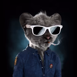 Royal Cub #5298