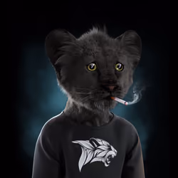 Royal Cub #1091